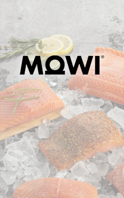 mowi salmon